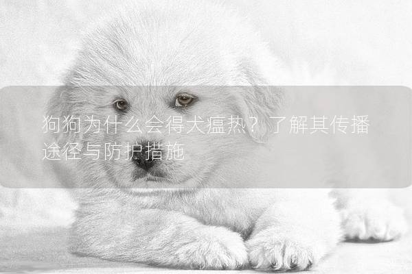 狗狗为什么会得犬瘟热？了解其传播途径与防护措施