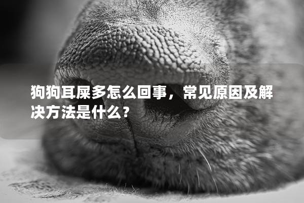 狗狗耳屎多怎么回事，常见原因及解决方法是什么？