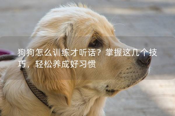 狗狗怎么训练才听话？掌握这几个技巧，轻松养成好习惯