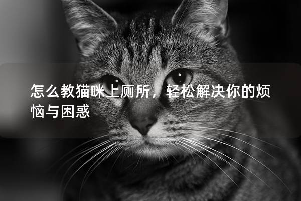 怎么教猫咪上厕所，轻松解决你的烦恼与困惑