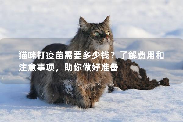 猫咪打疫苗需要多少钱？了解费用和注意事项，助你做好准备