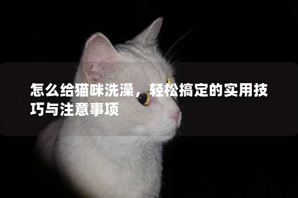 怎么给猫咪洗澡，轻松搞定的实用技巧与注意事项