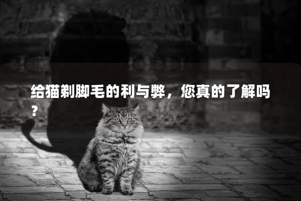 给猫剃脚毛的利与弊，您真的了解吗？