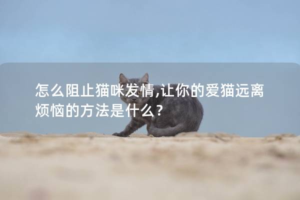 怎么阻止猫咪发情,让你的爱猫远离烦恼的方法是什么？