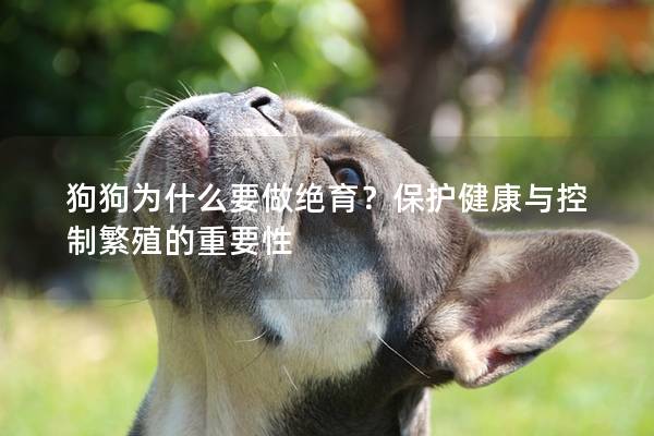 狗狗为什么要做绝育？保护健康与控制繁殖的重要性