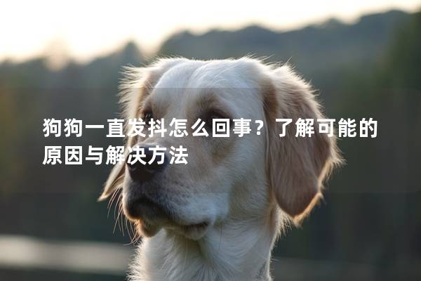 狗狗一直发抖怎么回事？了解可能的原因与解决方法