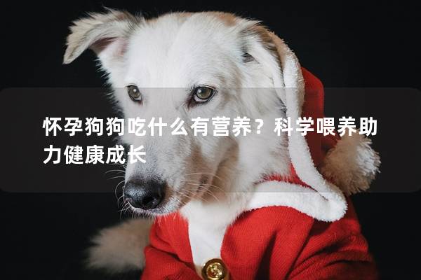 怀孕狗狗吃什么有营养？科学喂养助力健康成长