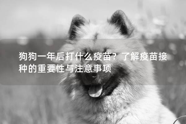 狗狗一年后打什么疫苗？了解疫苗接种的重要性与注意事项