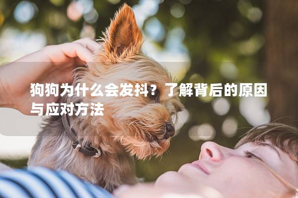 狗狗为什么会发抖？了解背后的原因与应对方法