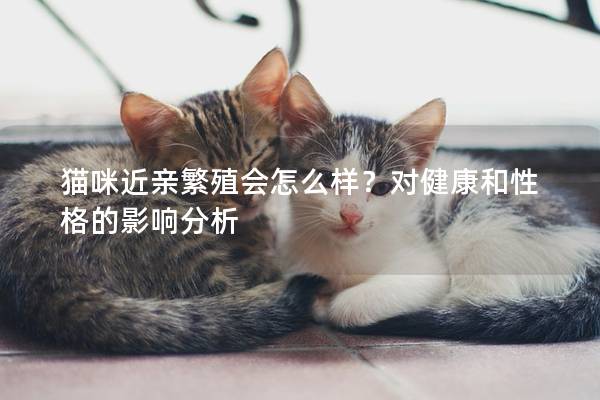 猫咪近亲繁殖会怎么样？对健康和性格的影响分析