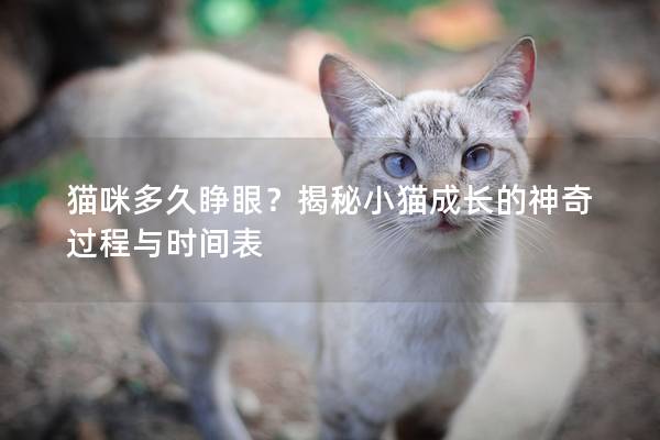 猫咪多久睁眼？揭秘小猫成长的神奇过程与时间表