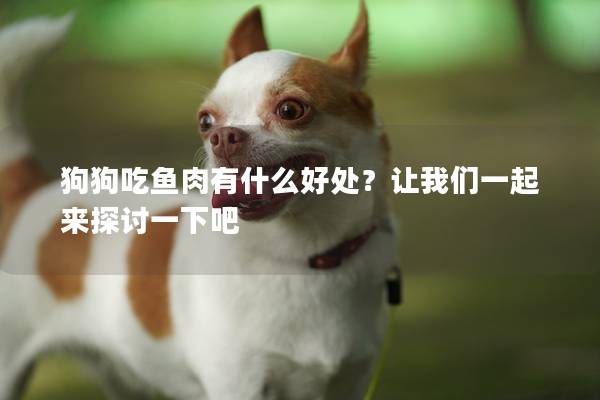 狗狗吃鱼肉有什么好处？让我们一起来探讨一下吧