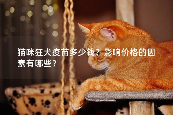 猫咪狂犬疫苗多少钱？影响价格的因素有哪些？