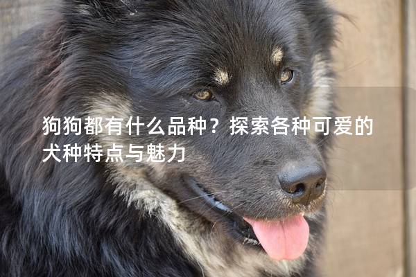 狗狗都有什么品种？探索各种可爱的犬种特点与魅力