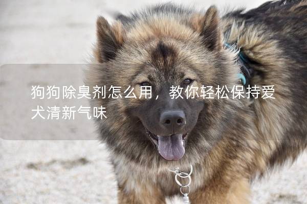 狗狗除臭剂怎么用，教你轻松保持爱犬清新气味