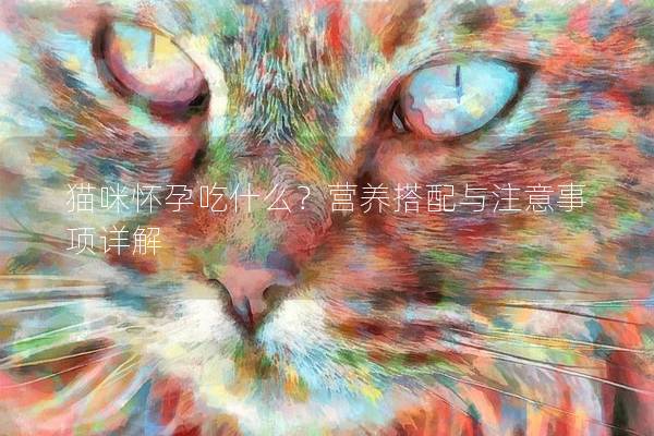 猫咪怀孕吃什么？营养搭配与注意事项详解