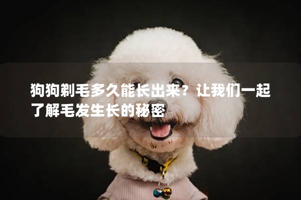 狗狗剃毛多久能长出来？让我们一起了解毛发生长的秘密