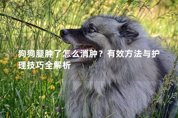 狗狗腿肿了怎么消肿？有效方法与护理技巧全解析