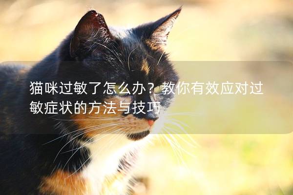 猫咪过敏了怎么办？教你有效应对过敏症状的方法与技巧