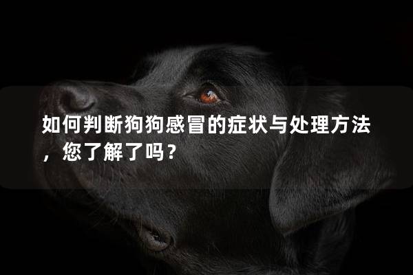 如何判断狗狗感冒的症状与处理方法，您了解了吗？