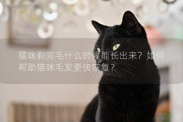 猫咪剃完毛什么时候能长出来？如何帮助猫咪毛发更快恢复？