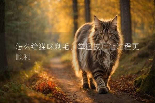 怎么给猫咪剃毛，掌握技巧让过程更顺利