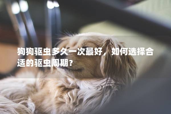 狗狗驱虫多久一次最好，如何选择合适的驱虫周期？