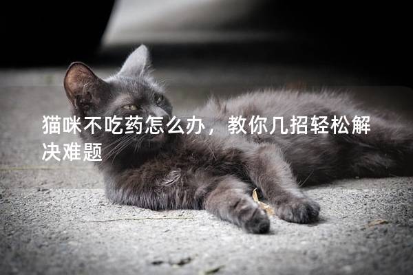 猫咪不吃药怎么办，教你几招轻松解决难题