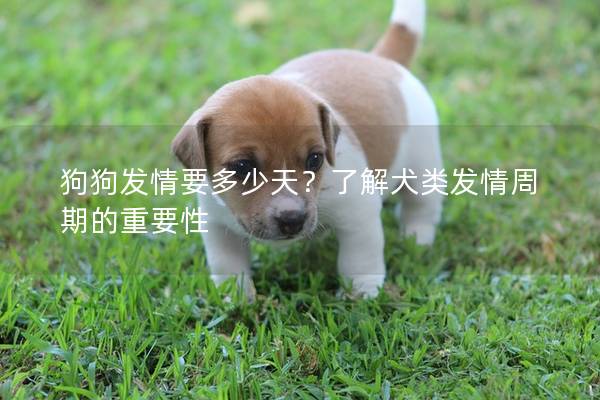 狗狗发情要多少天？了解犬类发情周期的重要性