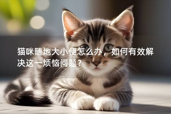 猫咪随地大小便怎么办，如何有效解决这一烦恼问题？