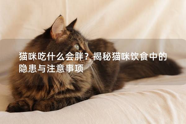 猫咪吃什么会胖？揭秘猫咪饮食中的隐患与注意事项