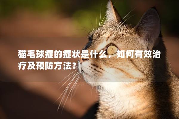 猫毛球症的症状是什么，如何有效治疗及预防方法？