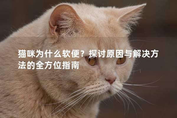 猫咪为什么软便？探讨原因与解决方法的全方位指南