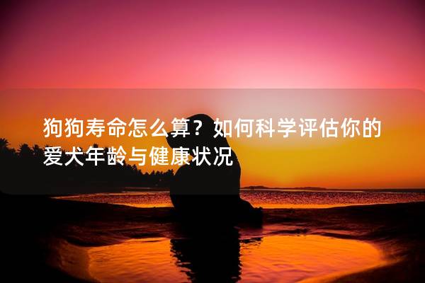 狗狗寿命怎么算？如何科学评估你的爱犬年龄与健康状况