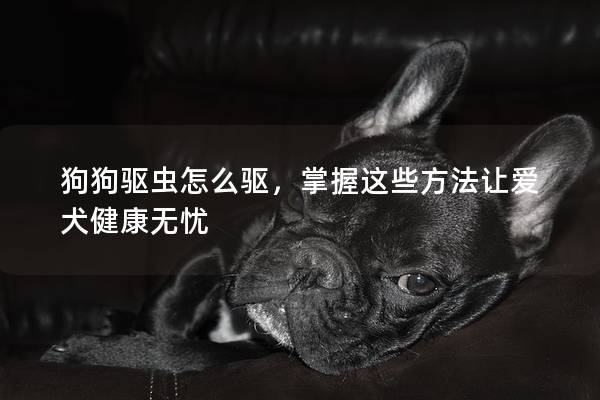 狗狗驱虫怎么驱，掌握这些方法让爱犬健康无忧