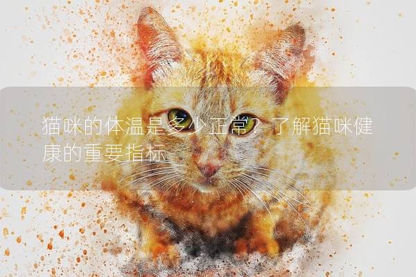 猫咪的体温是多少正常？了解猫咪健康的重要指标