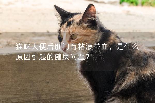 猫咪大便后肛门有粘液带血，是什么原因引起的健康问题？