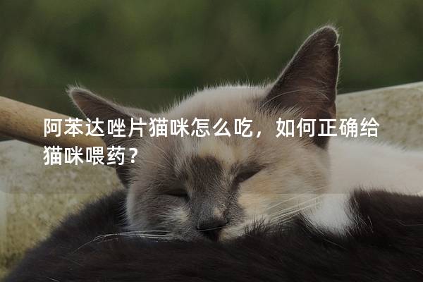 阿苯达唑片猫咪怎么吃，如何正确给猫咪喂药？