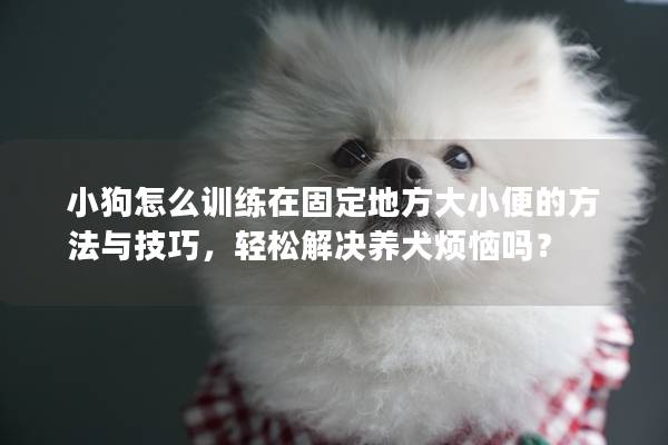 小狗怎么训练在固定地方大小便的方法与技巧，轻松解决养犬烦恼吗？