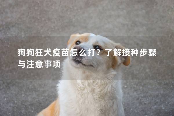 狗狗狂犬疫苗怎么打？了解接种步骤与注意事项