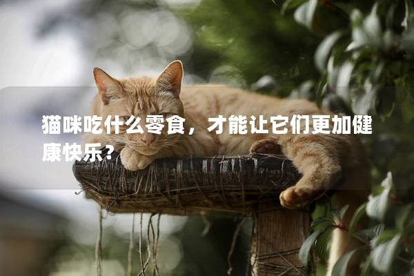 猫咪吃什么零食，才能让它们更加健康快乐？