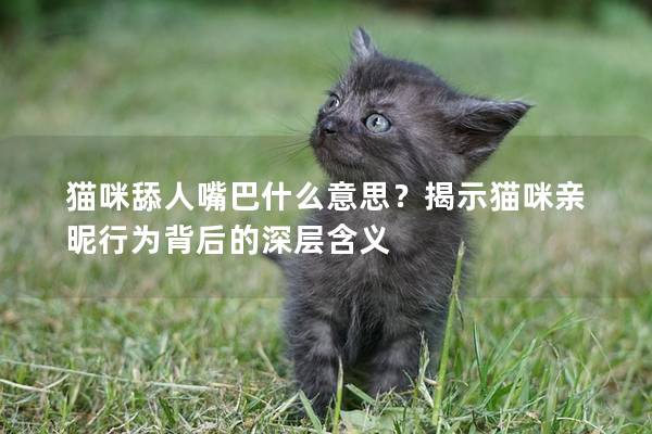 猫咪舔人嘴巴什么意思？揭示猫咪亲昵行为背后的深层含义