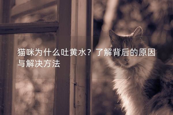 猫咪为什么吐黄水？了解背后的原因与解决方法