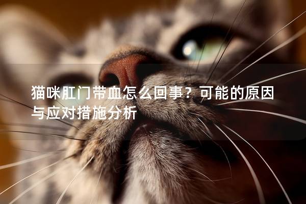 猫咪肛门带血怎么回事？可能的原因与应对措施分析