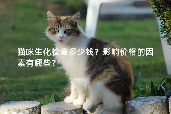 猫咪生化检查多少钱？影响价格的因素有哪些？