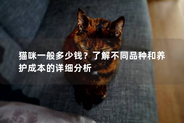 猫咪一般多少钱？了解不同品种和养护成本的详细分析