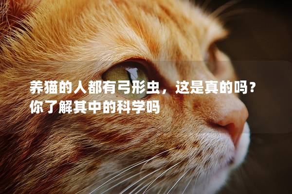 养猫的人都有弓形虫，这是真的吗？你了解其中的科学吗