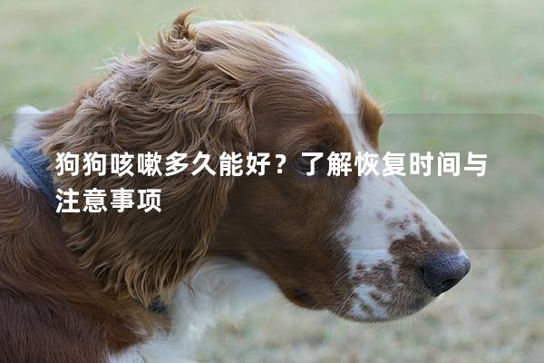 狗狗咳嗽多久能好？了解恢复时间与注意事项