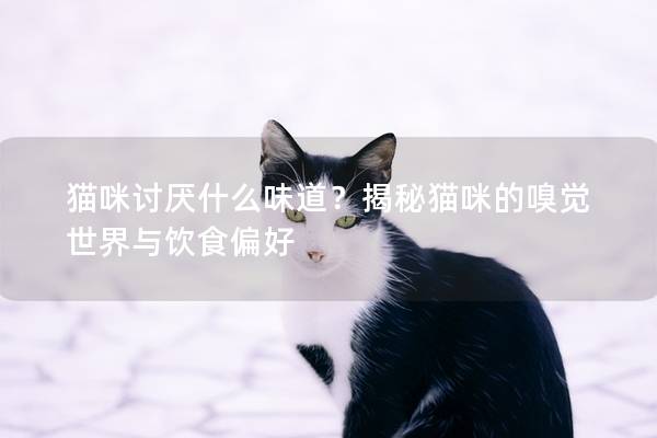 猫咪讨厌什么味道？揭秘猫咪的嗅觉世界与饮食偏好