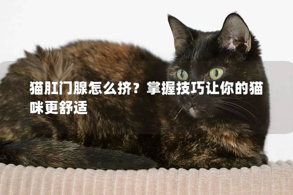 猫肛门腺怎么挤？掌握技巧让你的猫咪更舒适